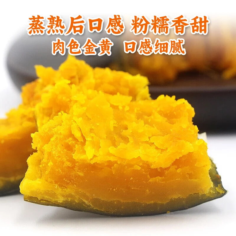 申果果新疆贵族板栗南瓜产地直发 丑金丝银栗老南瓜 新鲜板栗宝宝辅食 贵族南瓜 9斤 净重