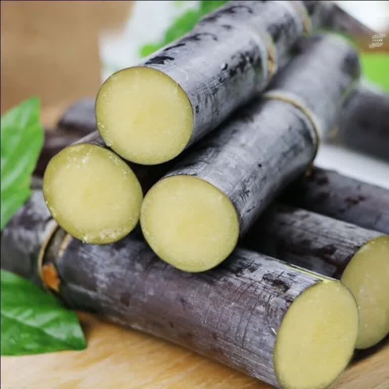 格沃斯【整箱批发】广西黑皮甘蔗新鲜中段现砍超甜水果甘蔗应季榨汁甜 9斤精选黑皮水果甘蔗
