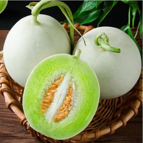 海南玉菇甜瓜新鲜香甜水果脆甜多汁冰淇淋口感孕妇蜜瓜产地直发 箱装4.5-5斤（2-4粒）