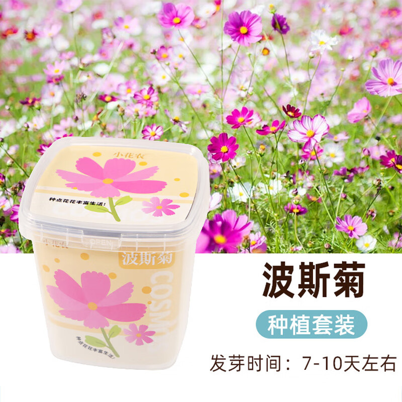 С��ũ��ͯ����ֲ��۲���ֲС����ʵ����װ����ڼ��׶�԰ѧ�� �ֵ��߲��ֵ㻨����˹�ա� 7.9Ԫ