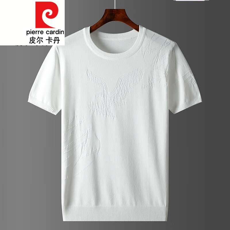 皮爾卡丹高檔品牌男裝2022新款夏季冰絲針織衫 男短袖薄款休閑大碼毛衣純色圓領(lǐng)線衣針織 白色 L