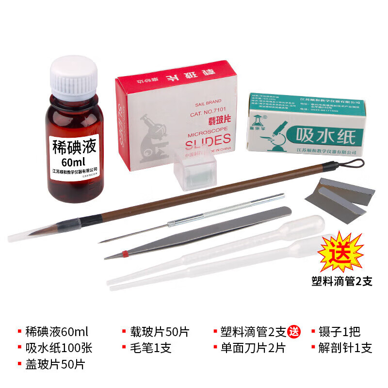 七年级下册生物洋葱
  第1张