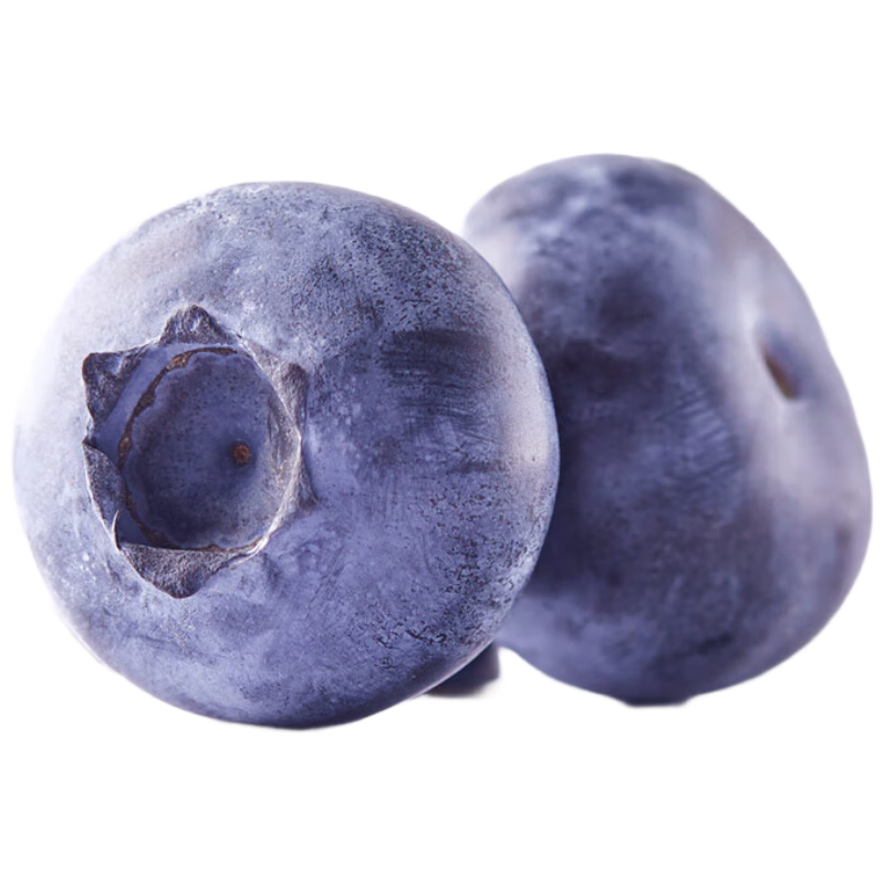 京觅四川蓝莓中果 14MM+ 100g/盒*4盒装新鲜水果源头直发包邮