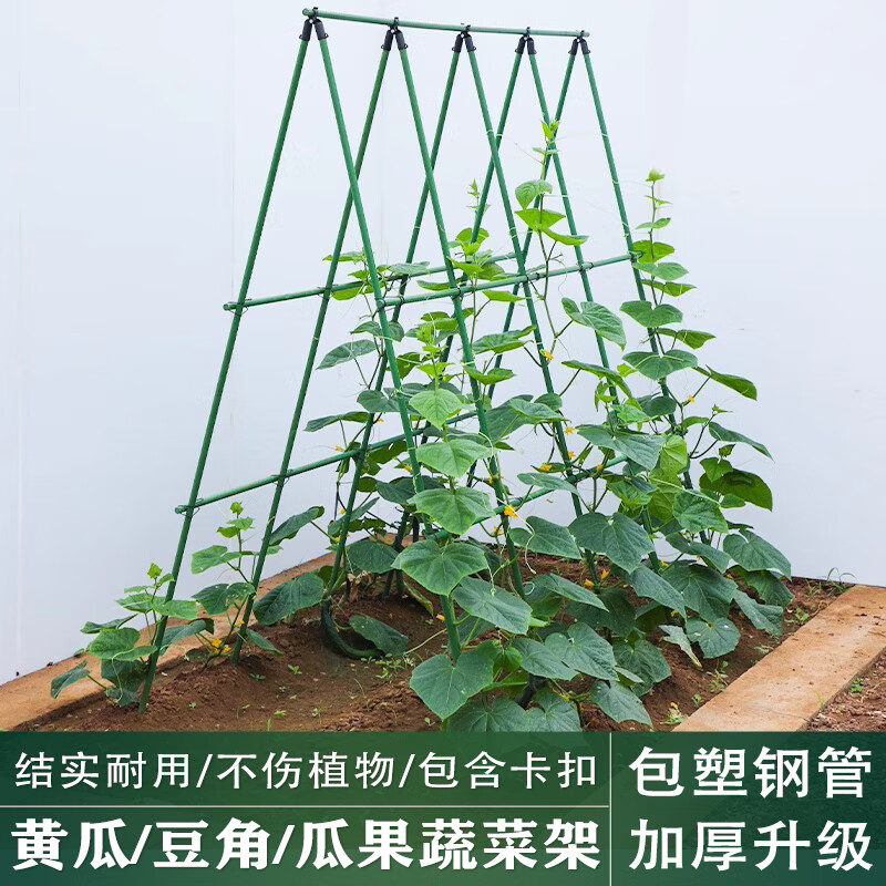 虹愠黄瓜爬藤架豆角架杆西红柿架种菜蔬菜搭棚子架植物支撑杆包塑钢管 11粗 长90*高90cm (3横6竖