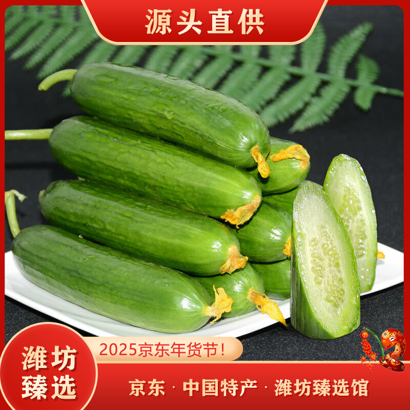 萄鲜客山东水果黄瓜 当季现摘 生吃即食 水果黄瓜青瓜 源头直发 小黄瓜 水果黄瓜净重 5斤 【单果100g起】
