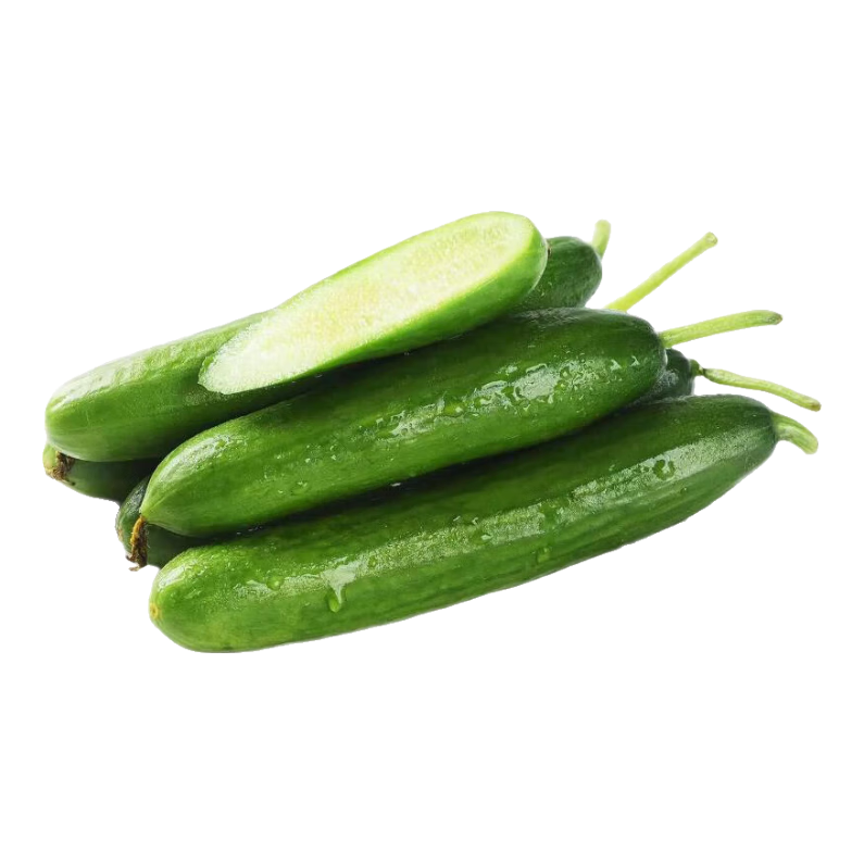 【超市品质】山东新鲜水果黄瓜嫩青瓜生吃蘸酱生鲜蔬菜减肥搭配 水果黄瓜 1斤 尝鲜装