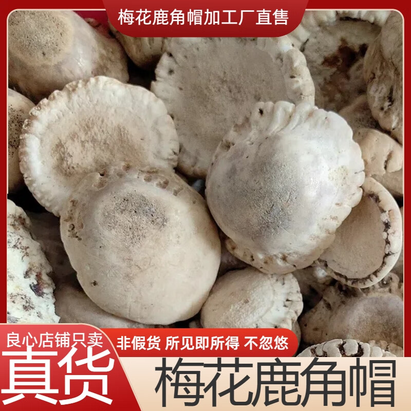 吉林梅花鹿角帽整個非馬鹿正品鹿托盤代客打粉鹿盤加工廠直售 整鹿角帽粉10克