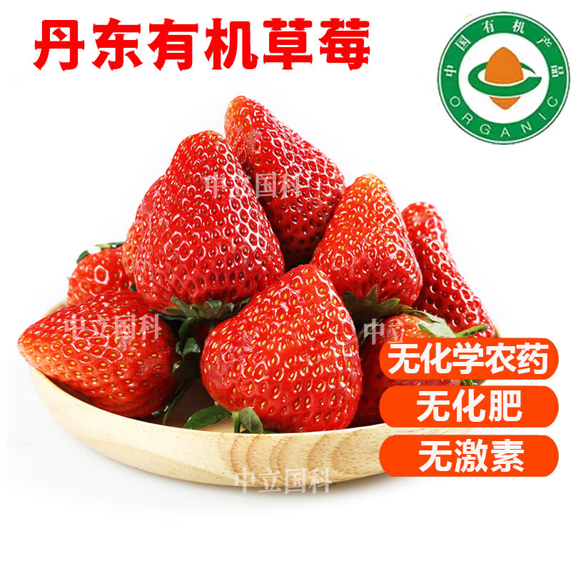 【顺丰航空】丹东有机草莓 辽宁久久红颜大草莓无农残健康水果 1.8-2斤【中果20-28g】