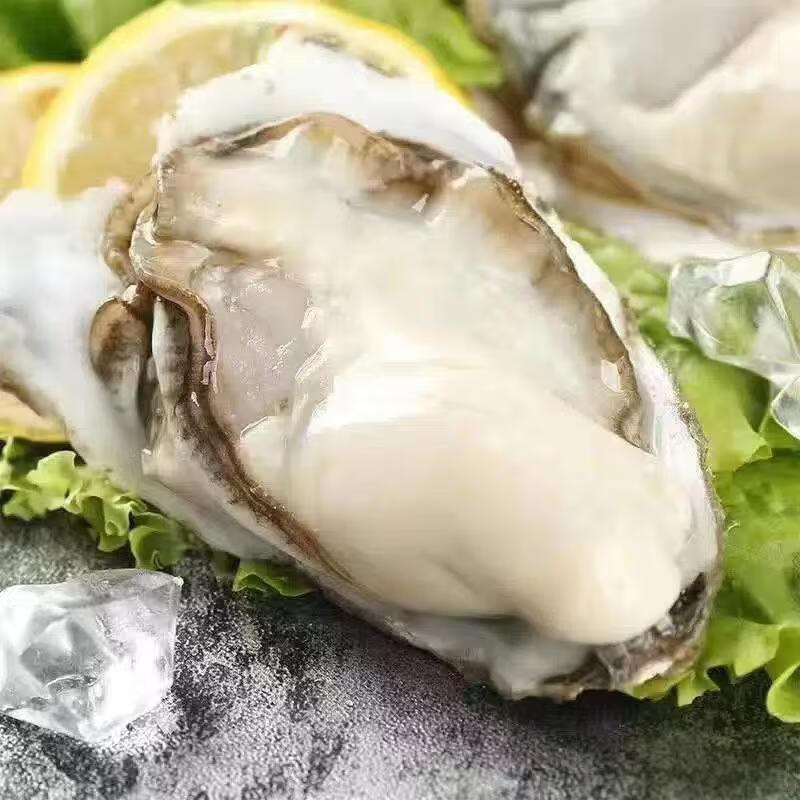 ĪС ɽ XXXLʻ 2.5 Ǻ 3-5 56Ԫ(ȯ28Ԫ/)