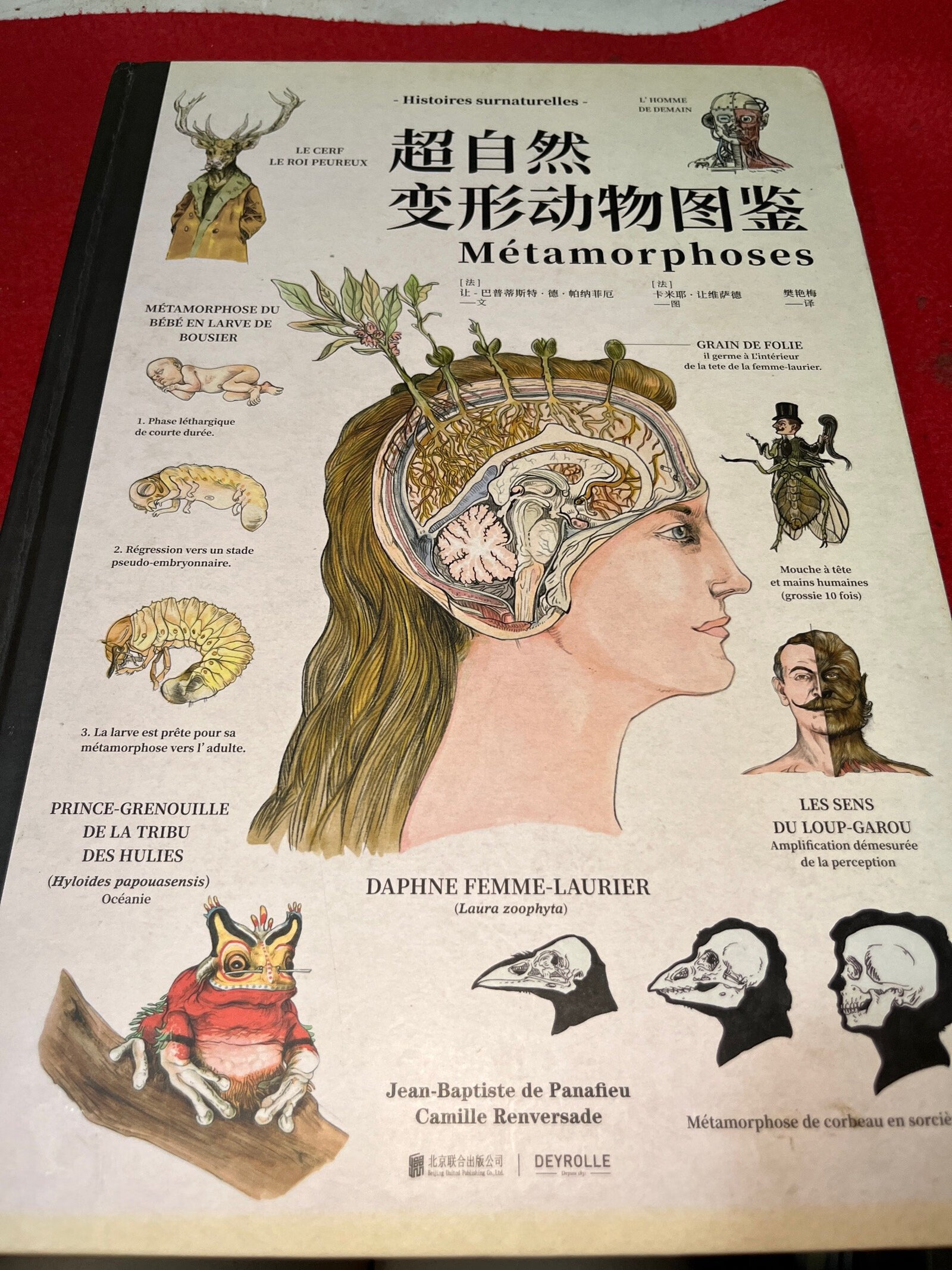 【二手9成新】超自然变形动物图鉴, /未读 北京联合有限公司