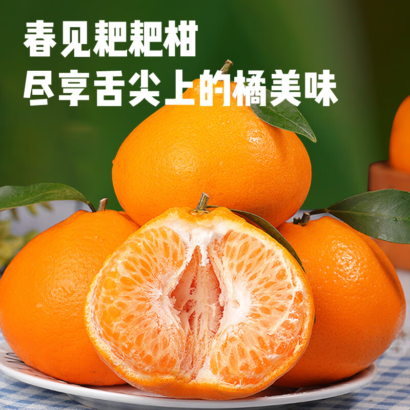 菲农正宗四川春见耙耙柑10斤新鲜水果当季整箱丑粑粑橘子源头直发  5斤【80%选择-划算】净4.8斤 春见耙耙柑中果