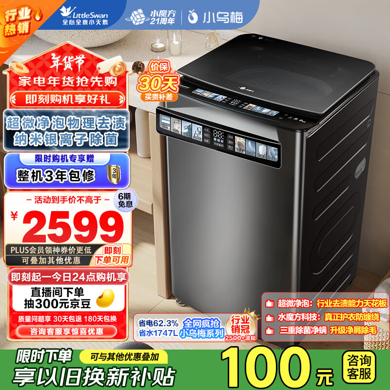 小天鹅（LittleSwan）波轮洗衣机全自动 小乌梅 【TB100V85PLUS] 水魔方防缠绕 超微净泡 直驱变频 10公斤 家电国家补贴