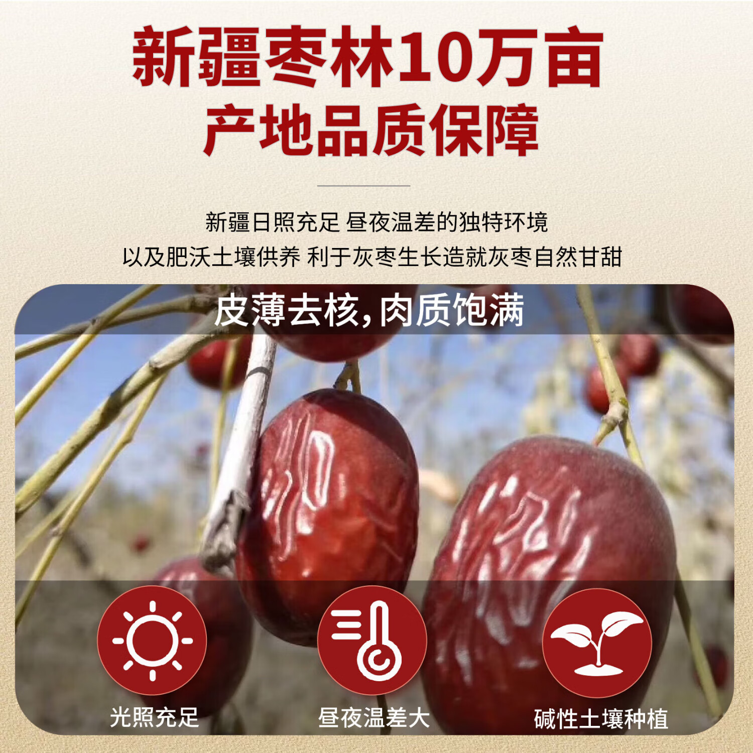 什漠果红枣去核灰枣天然零食好吃即拆即食老少皆宜 去核灰枣108g*6袋