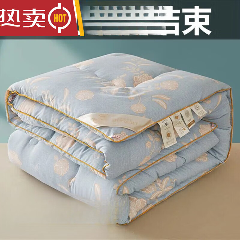 家紡A類國(guó)標(biāo)蠶絲棉被100純棉夏涼被空調(diào)被棉被芯冬季加厚 暖陽(yáng)花#藍(lán)【超柔保暖//母嬰級(jí)體 150*200【8斤暖冬被】