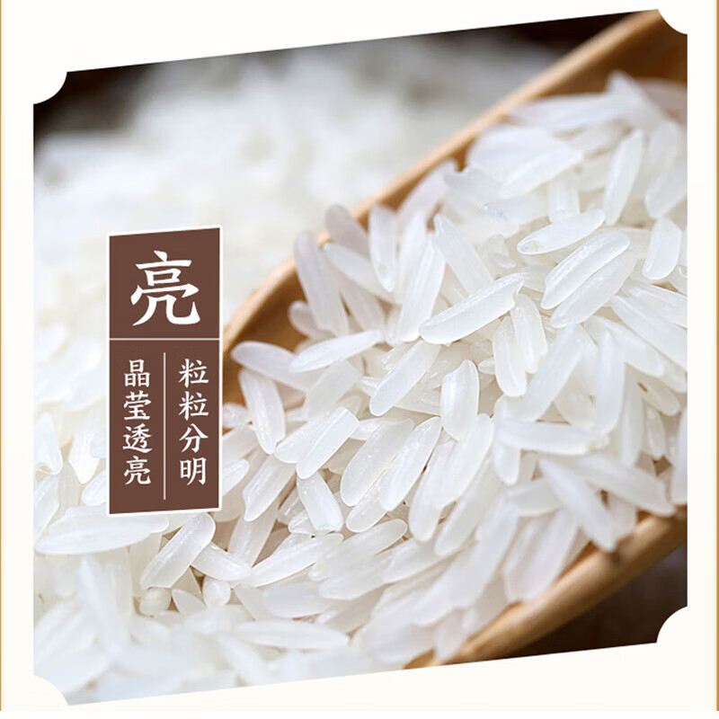  当季新米软香丝苗米 1000g