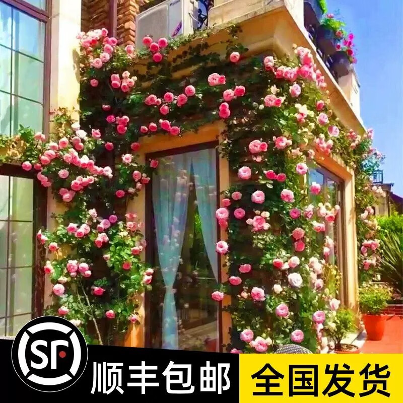 ڲš16硿Ǿޱٱ¼شֲļõ ڴи1639Ԫ