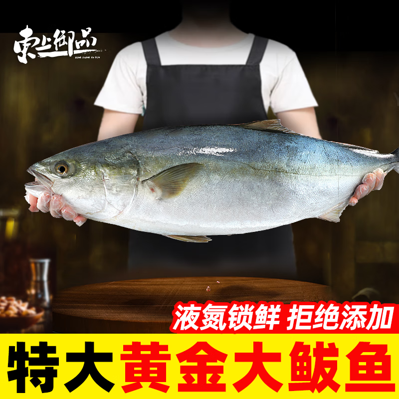 东上御品 山东 大黄金鲅鱼净重6-8斤/1条海鱼 冷冻大鲅鱼海鲜-源头直发
