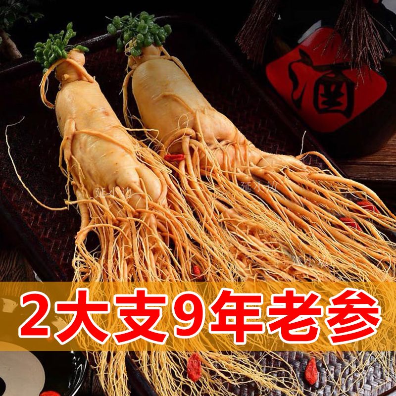 敖东敖东鲜人参保鲜八年人参正宗长白山人参泡酒煲汤滋补材料东北保鲜 2大支9年老参 泡酒煲汤