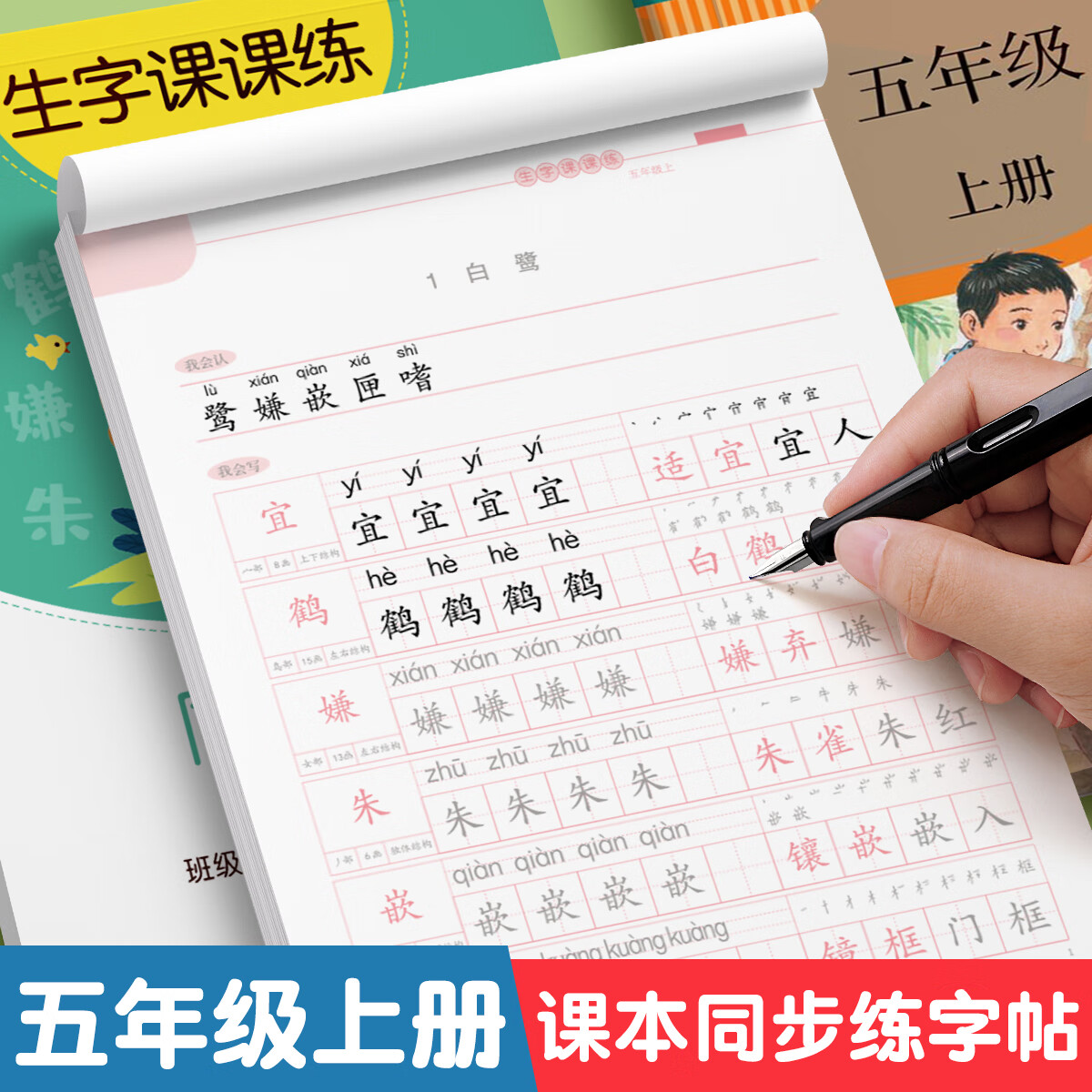 金枝叶五年级字帖上下册临摹练字帖小学生专用同步练字本语文人教版硬笔书法儿童楷书练习 五年级上册（共46页）