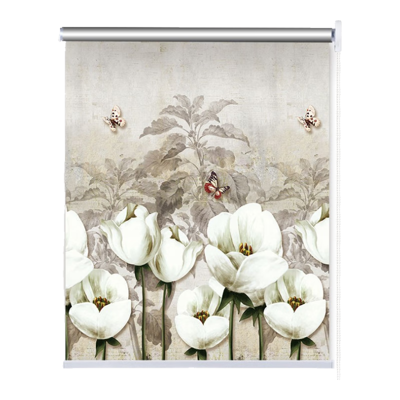 ܰ��������������״����ڹ������������װ�װ�������������Ҿ���ʽ��ɹ���� ¹Ե���ڹ� ��1.5��X��2�� 220Ԫ��4��(��55Ԫ/��)