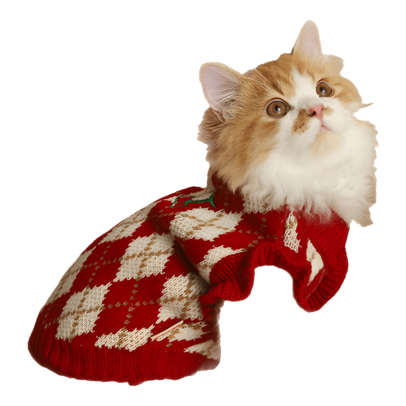 ���ڲ������������è���·���ů����С����ë���ﶬ��ů�Ӻ����̩��Сè���·� ���δ���ӣ��ë��-��ͷ�� M����Χ39cm������7-9�