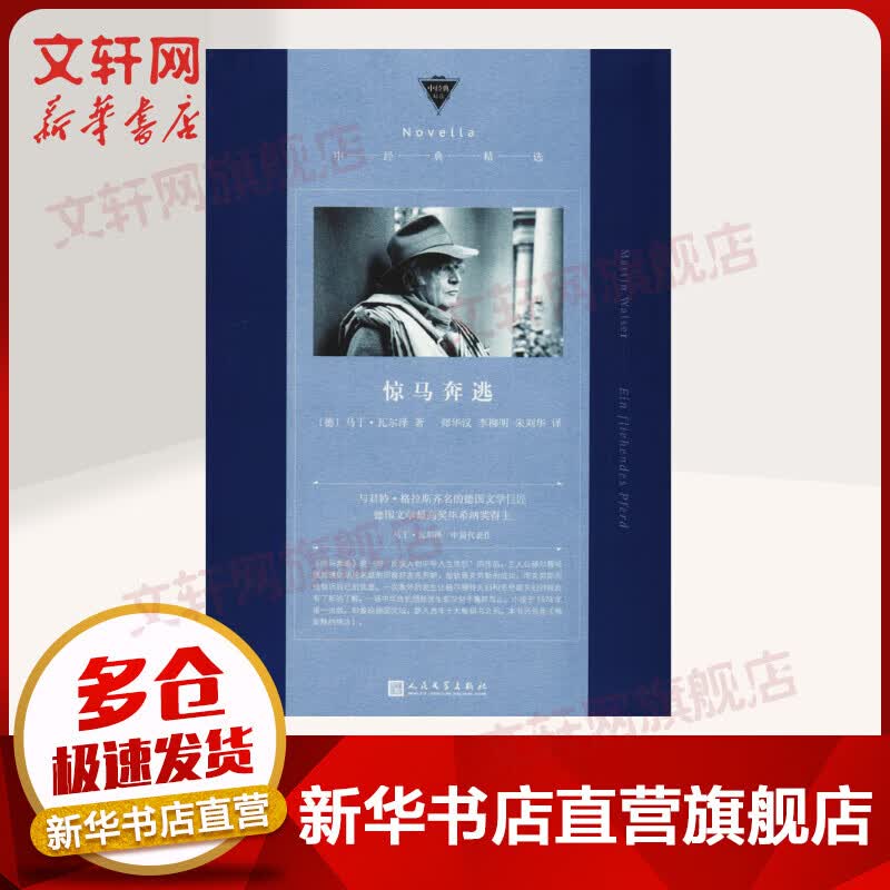 惊马奔逃 马丁·瓦尔泽