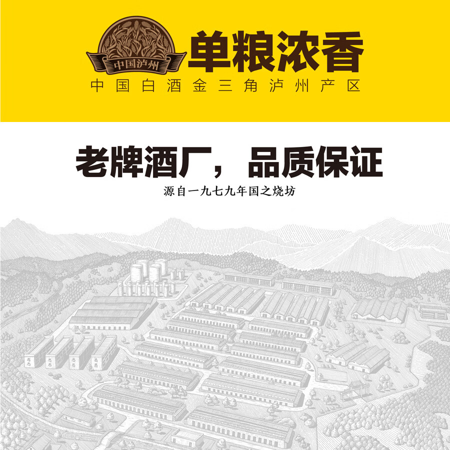 国之（GUOZHI）国之二曲 浓香型白酒 泸州产区 纯粮酒国标优级 非遗文物窖池酿造 52度 500mL 6瓶 整箱装
