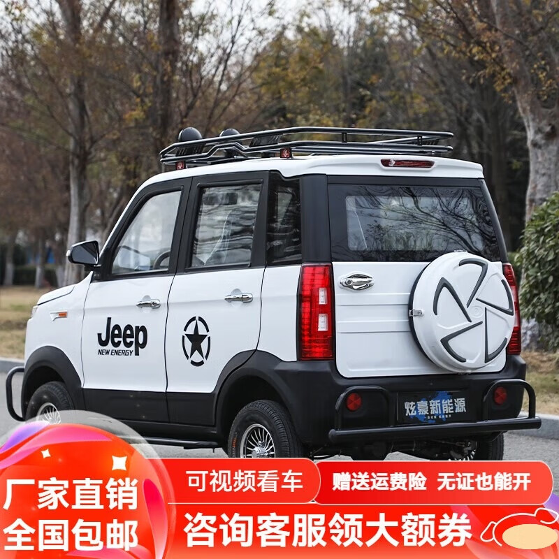 琮申四轮电动车家用女士接送上班油电两用新能源汽车电瓶成年人代步车 保险一年