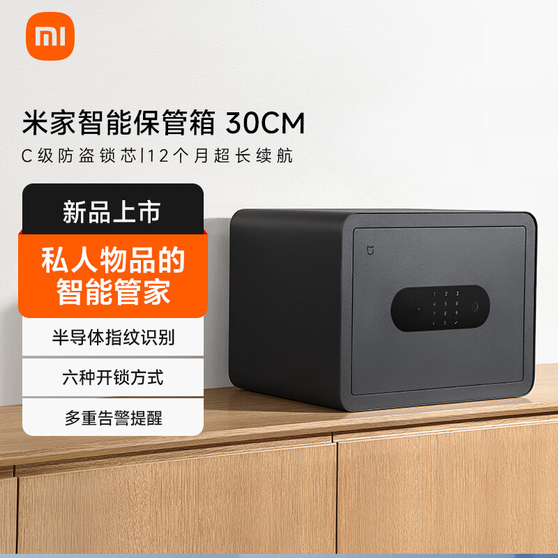 �׼ҡ���Ʒ���С�С���׼����ܱ�����30CM ָ������6�ֽ�����ʽ�칫���ñ��ܹ�����