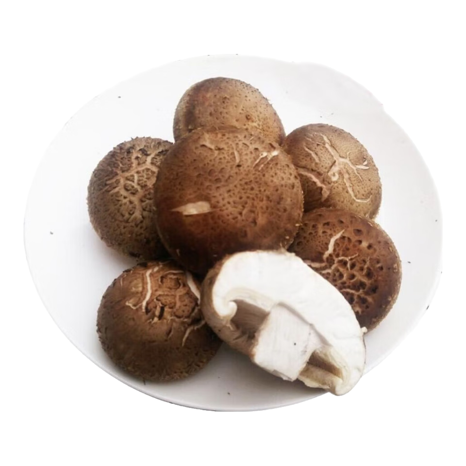 ���ڲ���������ׯ԰����ʪ�㹽���ϲ���ֱ���߲������߲���Ͽ ����500g 6.5Ԫ