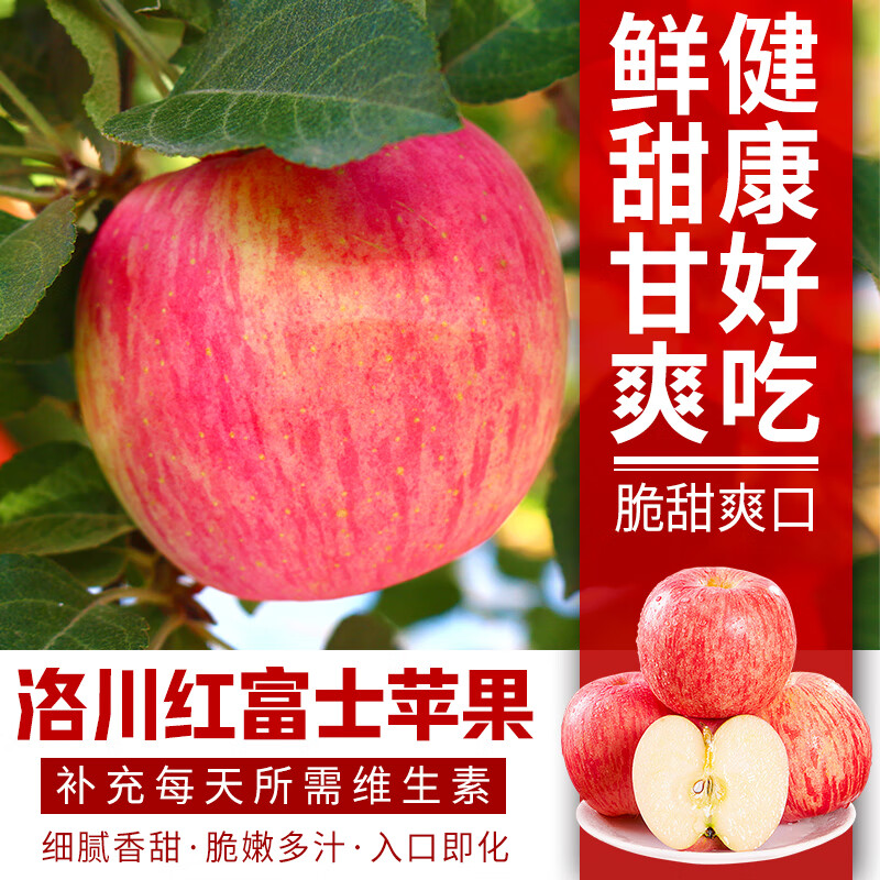 燕宾 值得您信赖的种植者 YB-YUANSHENGTAI【地标农品】洛川苹果红富士水果产地直发脆甜多汁净重4.5斤 【燕宾心选】净重4.5斤品质中果