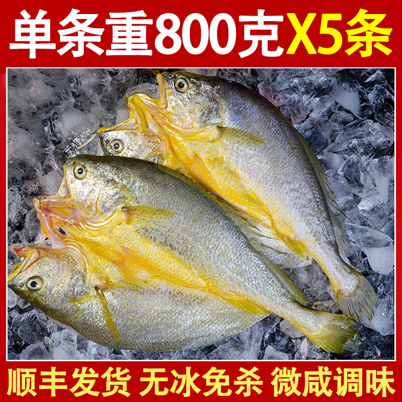 福建寧德黃魚鲞特產(chǎn)醇香開背三去大黃魚黃花魚黃瓜魚腌制非半干貨 10條裝發(fā)順豐[每條150-180克](