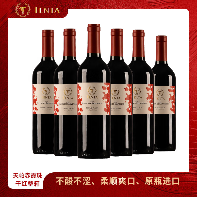 天帕（TENTA）智利中央山谷原瓶进口天帕赤霞珠干红葡萄酒品种级红酒 750ml*6瓶