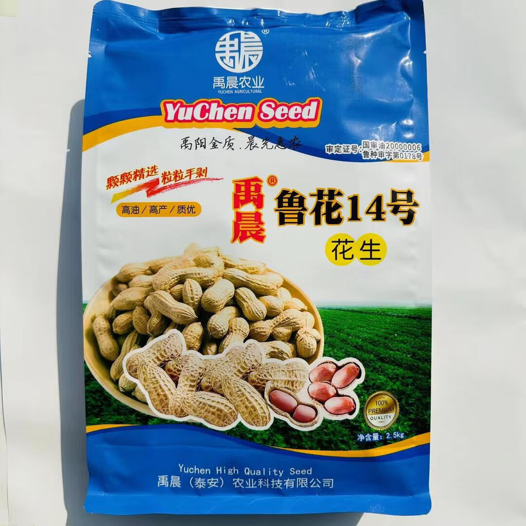 种子早熟大颗粒饱满纯手工剥壳黑果抗倒伏矮秧不落果 鲁花14号5斤装