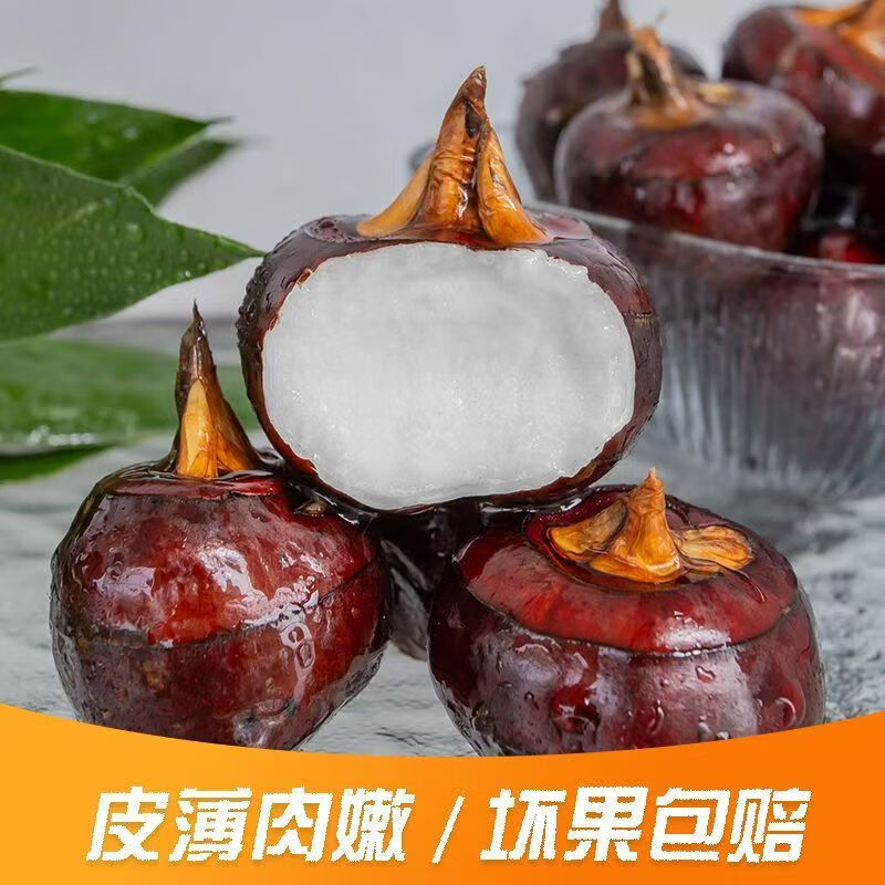 广西桂林荔浦马蹄荸荠地梨脆甜现挖产地直发当季新鲜水果煲汤蔬菜 优质大果 净重5斤(100-115个)