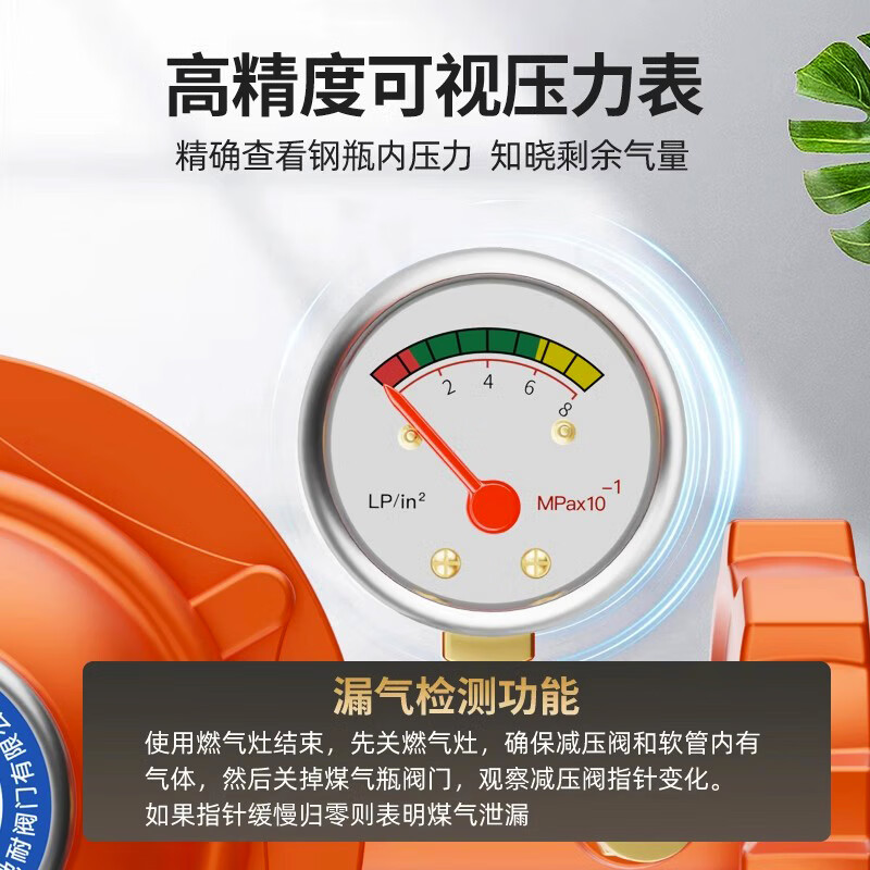 厨师傅 液化气罐煤气减压阀新国标1.2安全阀自动关闭燃气灶阀门大火防爆 【双插口】大流量1.2带表 以换代修-值得信赖