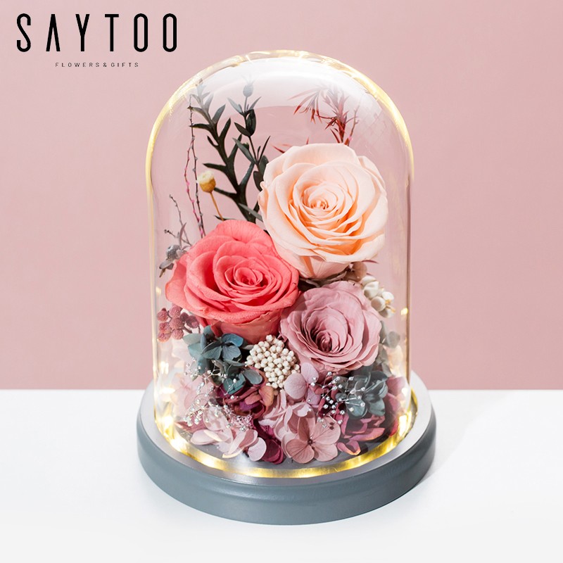 查永生花历史价格|永生花价格比较