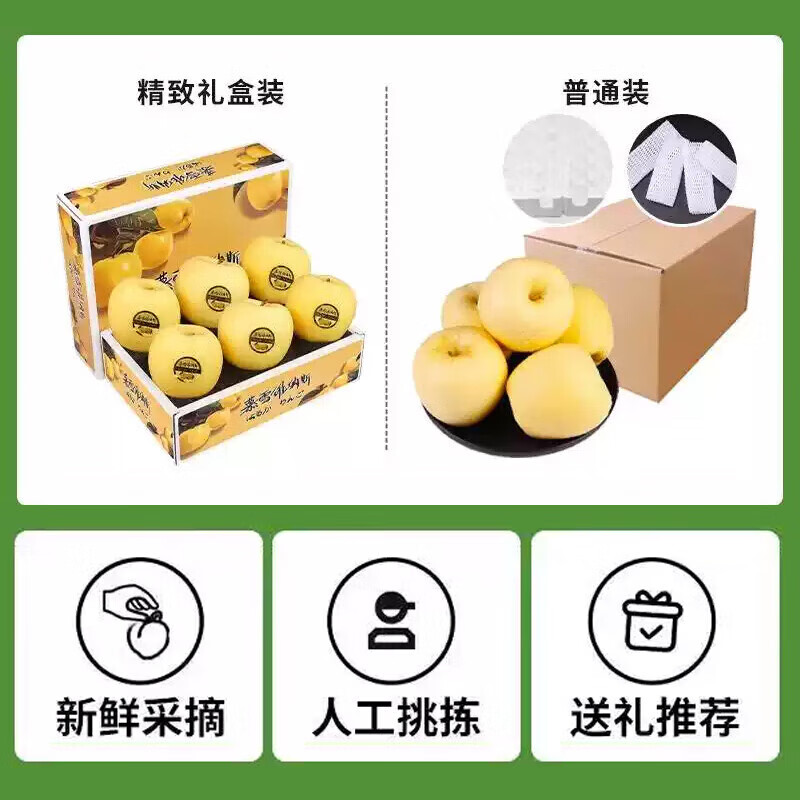 正宗山东维纳斯黄金苹果奶油水果苹果脆甜应季新鲜水果送人送礼 5斤家庭装【单果130g+】净4斤 绿色食品认证果园
