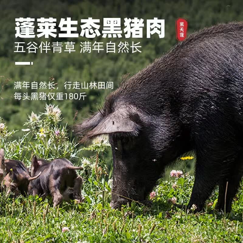 龙大肉食黑猪肋排400g 黑猪排骨冷冻免切猪肋骨 红烧食材 蓬莱生态黑猪肉p 黑猪肋排块400克x5袋