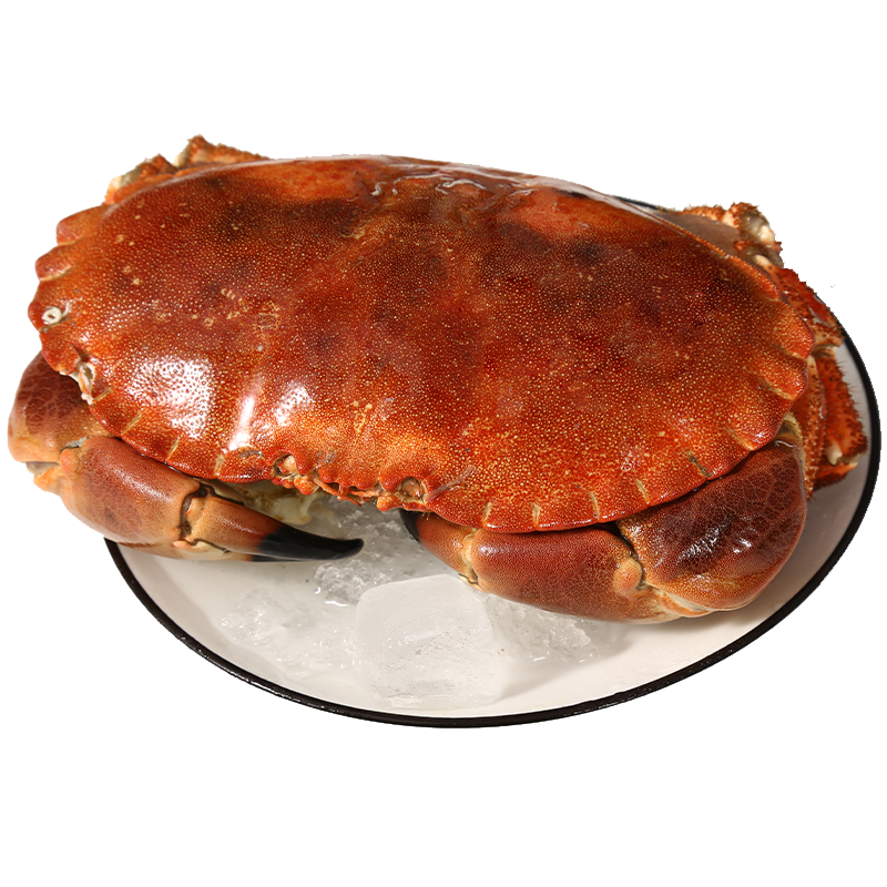 �������з�����춳�ƽ�з�䱦з��Ʒ����зз�ຣ����� ����š����з600-800g/ֻ 89Ԫ