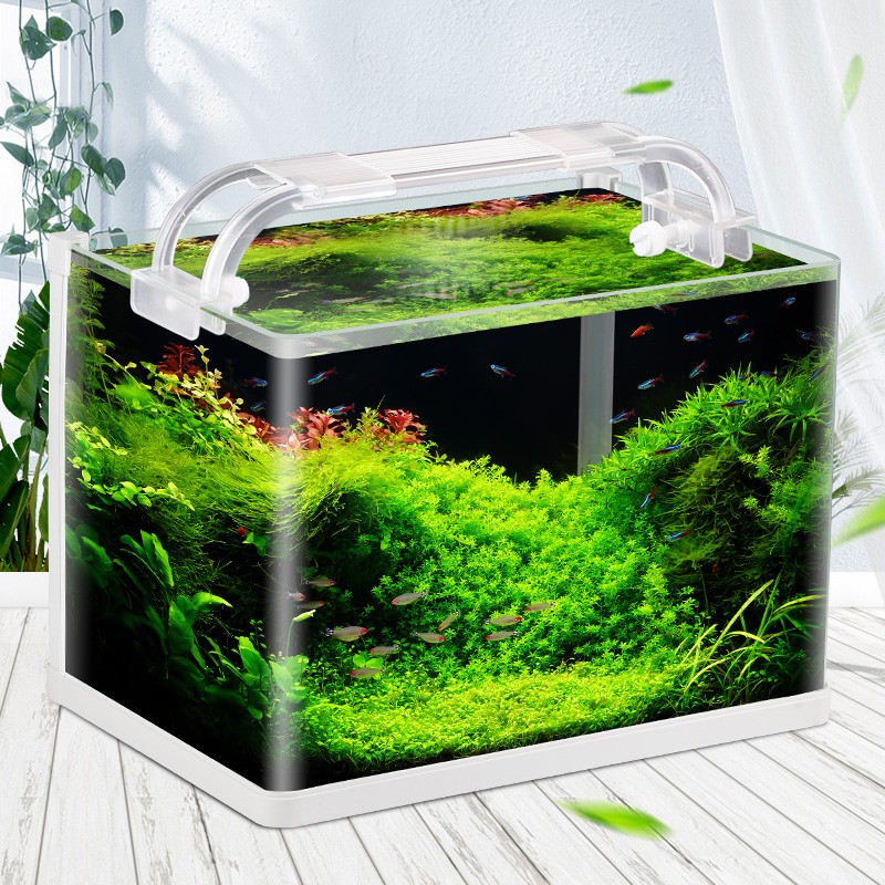 森森超白玻璃生态金鱼缸