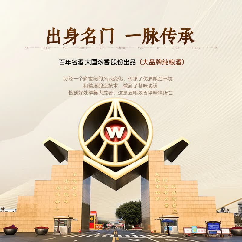 五粮浓香五粮液臻品陈系列52度浓香型白酒 整箱白酒礼盒 商务送礼纯粮酒水 52度 500mL 6瓶 酒整箱配酒具礼袋