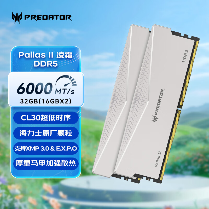 宏碁掠夺者（PREDATOR）32G(16G×2)套装 DDR5 6000频率 台式机内存条 Pallas II 凌霜系列 (C30)星光银 AI电脑存储配件