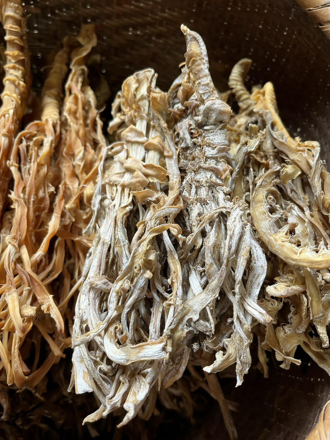 浙江干货批发