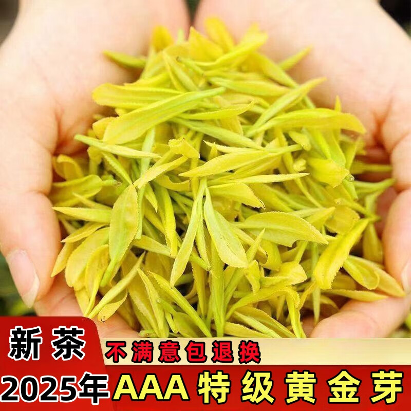 黃金芽2025年新茶安吉特級白茶自己喝春茶白茶綠茶明前黃金芽茶葉 正宗黃金芽新茶 500g 一斤裝