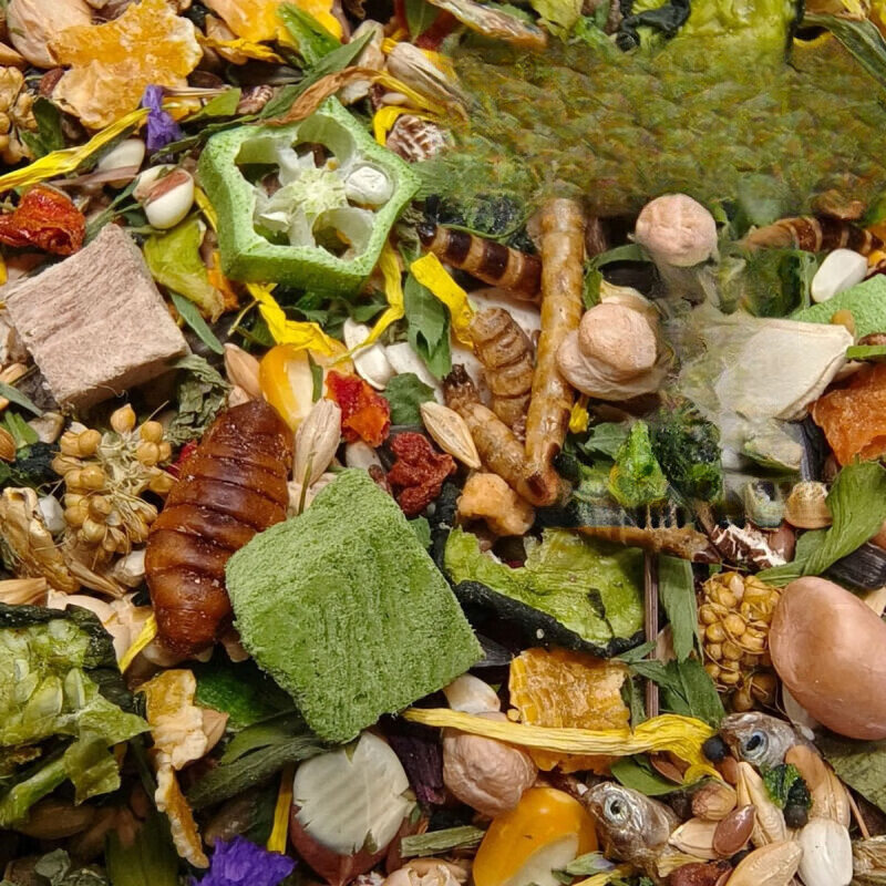 �����˿����Ӫ��ר�ú�����������������̲���ʳ����ʳ�����ܶ� ��320��