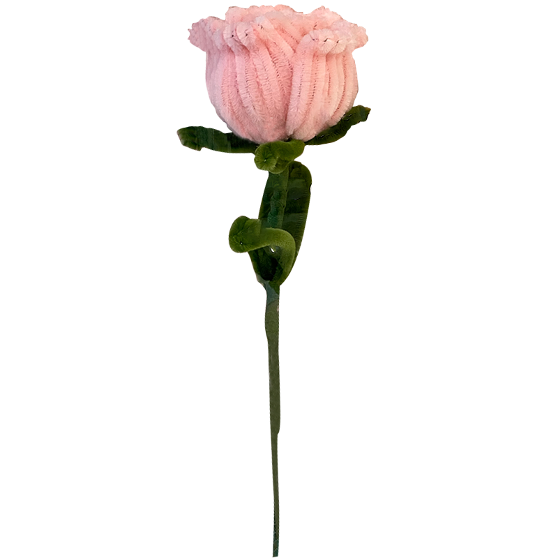 ʦ õ廨ֹ֧ŤŤƷжʥ