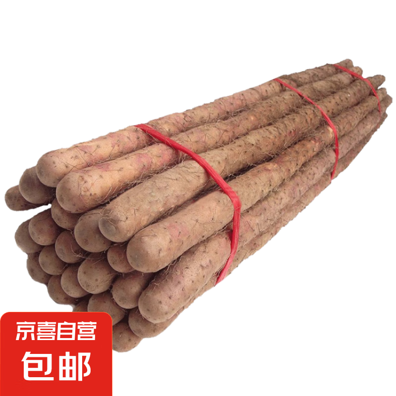 ������ɽҩ ɳ�����˻�ɽҩ ���Ͻ��������ز�������ɽҩ ��������ɽҩ5��40-60cm