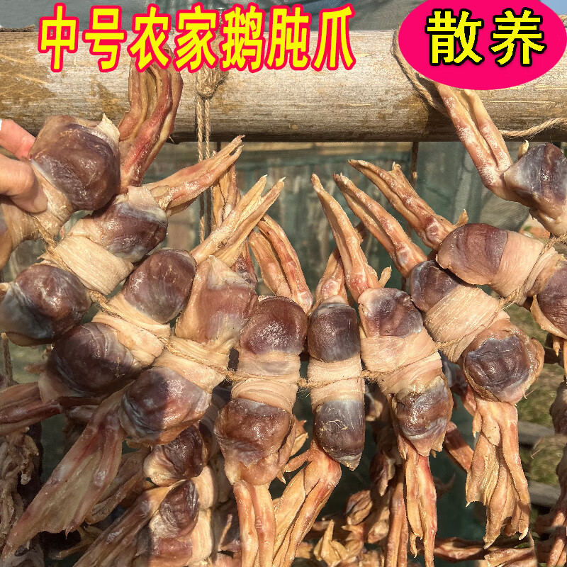壽縣農家腌制土鵝肫爪皖西土老鵝腌制草鵝肫爪咸鵝胗爪小雞鵝肫爪 10副中號(10個肫20個爪子