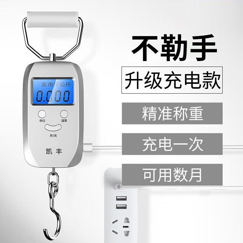 凯丰 便携式手提秤50kg电子称行李秤快递秤弹簧秤电子秤精准克称 【充电款银色】称重0.05kg-50kg